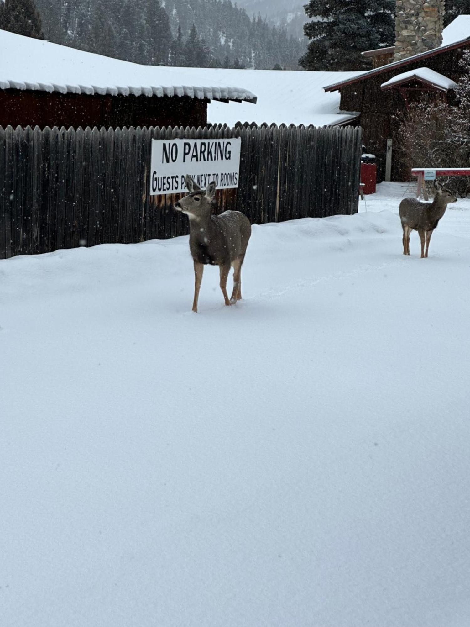 Deer Lodge Red River Eksteriør bilde